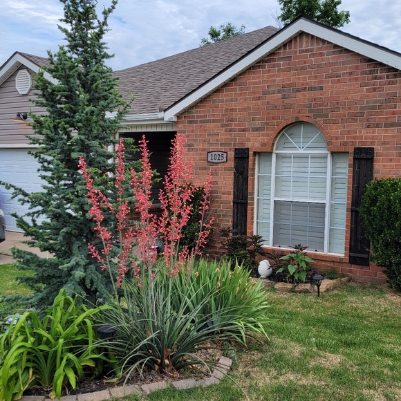 Meet your Posher, Jaxy - Picture 3 of 4